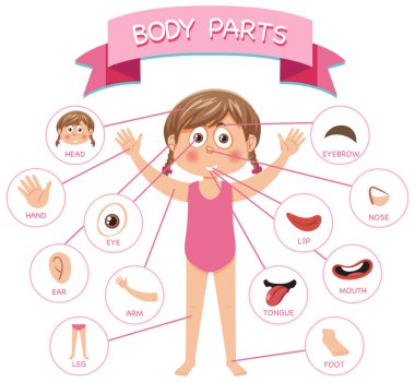 Sözcük dağarcığı illüstrasyonlu vücut parçaları