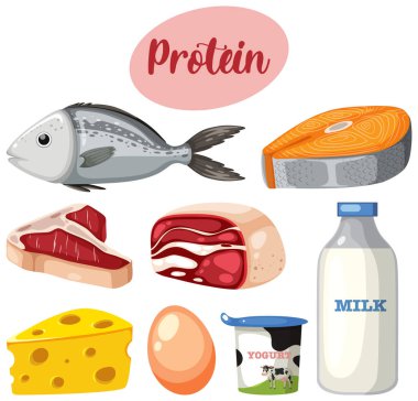 Metin resimli protein gıdalarının çeşitliliği