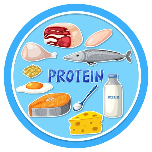 Variété Aliments Protéinés Illustration — Image vectorielle