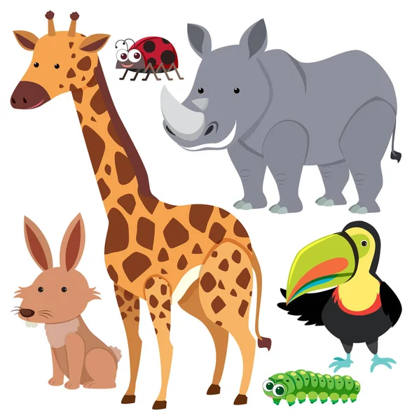 Conjunto Animales Dibujos Animados Estilo Simple Ilustración — Vector de stock