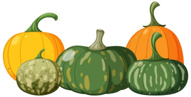 Group of pumpkins vector illustration