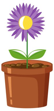 Purple flower in pot on white background illustration