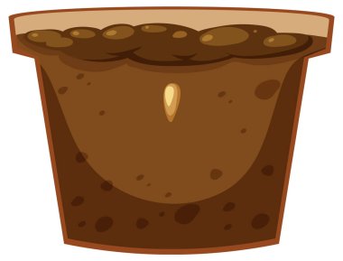 Seed germination process concept illustration