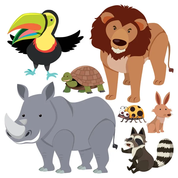 Set Animals Cartoon Simple Style Illustration — ストックベクタ