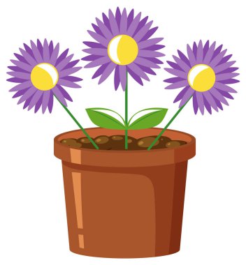 Purple flower in pot on white background illustration