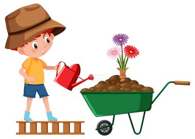 A boy watering flower in wheelbarrow illustration
