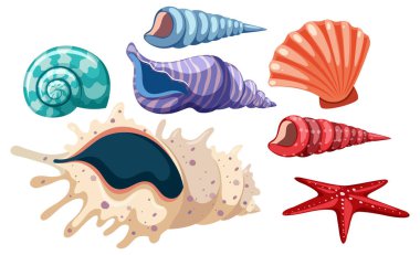 Set of seashell simple cartoon illustration
