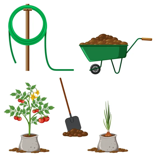 Conjunto Plantas Ferramentas Jardinagem Equipamentos Ilustração — Vetor de Stock