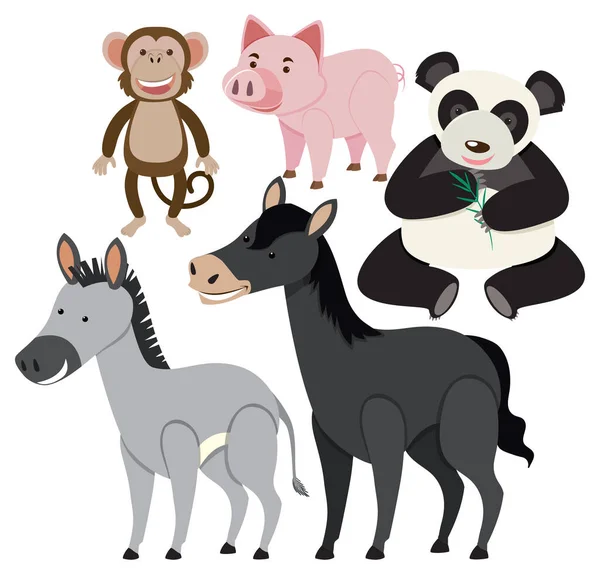 Set Animals Cartoon Simple Style Illustration — Stock Vector