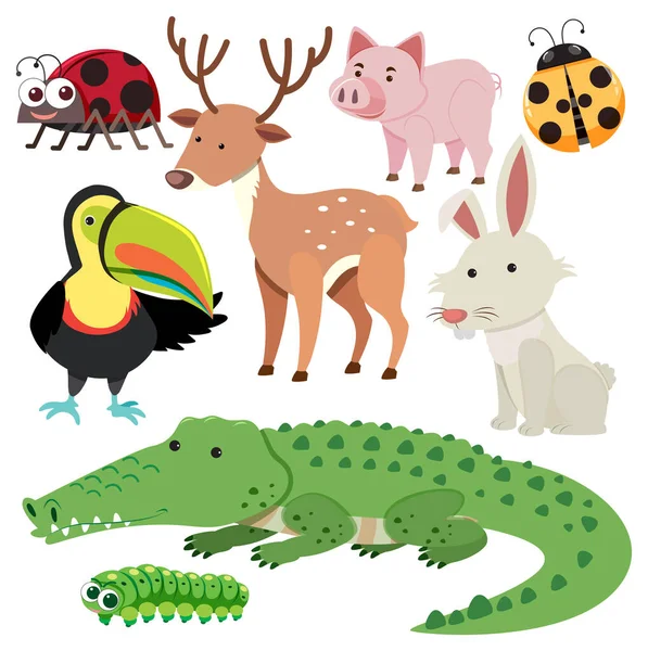 Набор Животных Мультфильм Простой Стиль Иллюстрации — стоковый вектор