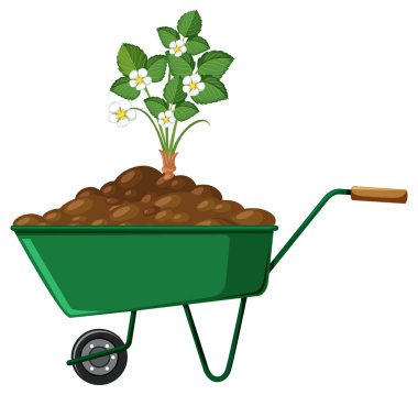  Plant on a wheelbarrow isolated illustration