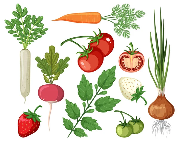 Sada Zeleniny Bílém Pozadí Ilustrace — Stockový vektor
