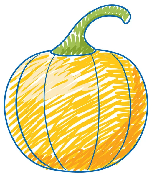 Pumpkin Pencil Colour Sketch Simple Style Illustration — 스톡 벡터