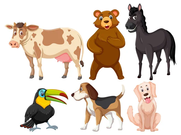 Set Cute Animals Cartoon Character Illustration — 스톡 벡터