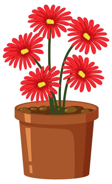 白い背景のイラストの上にポットの赤い花 — ストックベクタ