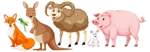 Set Cute Animals Cartoon Character Illustration — Διανυσματικό Αρχείο