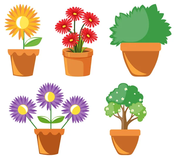 Fleur Colorée Pot Sur Fond Blanc Illustration — Image vectorielle