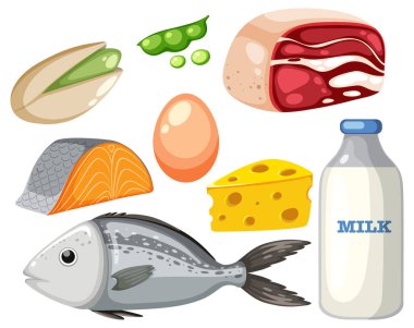 Protein foods group on white background illustration