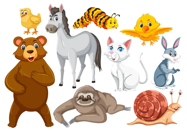 Conjunto Animales Lindos Ilustración Personajes Dibujos Animados — Vector de stock