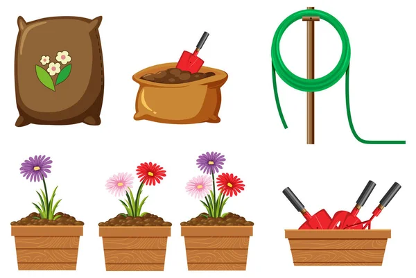 Set Plant Gardening Tools Equipment Illustration — Stock Vector