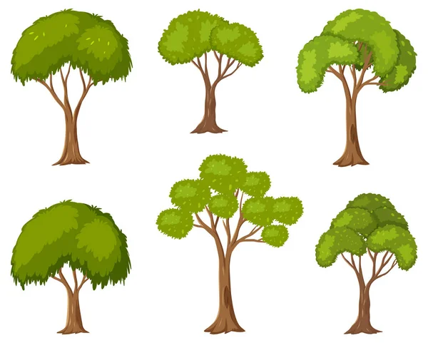 Σύνολο Του Δέντρου Στην Απεικόνιση Στυλ Κινουμένων Σχεδίων — Διανυσματικό Αρχείο