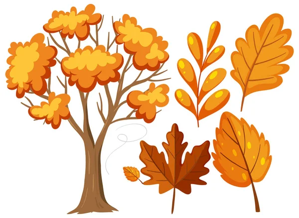 Set Tree Cartoon Illustration — Stock Vector