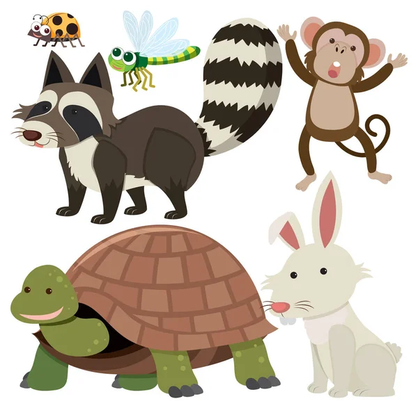 Conjunto Animales Dibujos Animados Estilo Simple Ilustración — Vector de stock