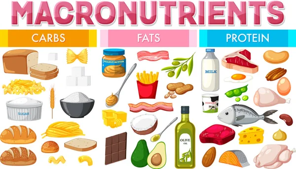 Macronutrients Diagram Food Ingredients Illustration — Wektor stockowy