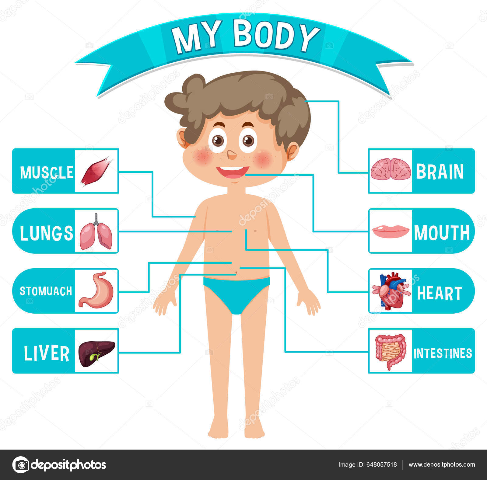 human-body-parts-photos-for-kids-infoupdate
