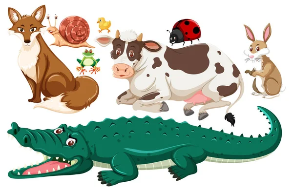 Set Cute Animals Cartoon Character Illustration — ストックベクタ