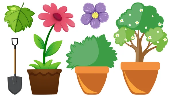 Set Flowers Plants Illustration — Vettoriale Stock