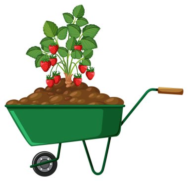  Plant on a wheelbarrow isolated illustration