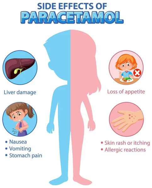 Human Anatomy Diagram Cartoon Style Paracetamol Side Effects Illustration — Διανυσματικό Αρχείο