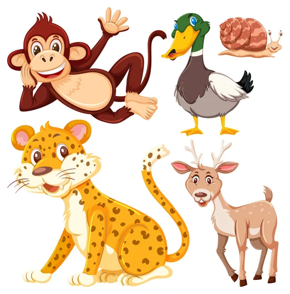 Σύνολο Χαριτωμένα Άγρια Ζώα Εικονογράφηση Χαρακτήρα Κινουμένων Σχεδίων — Διανυσματικό Αρχείο