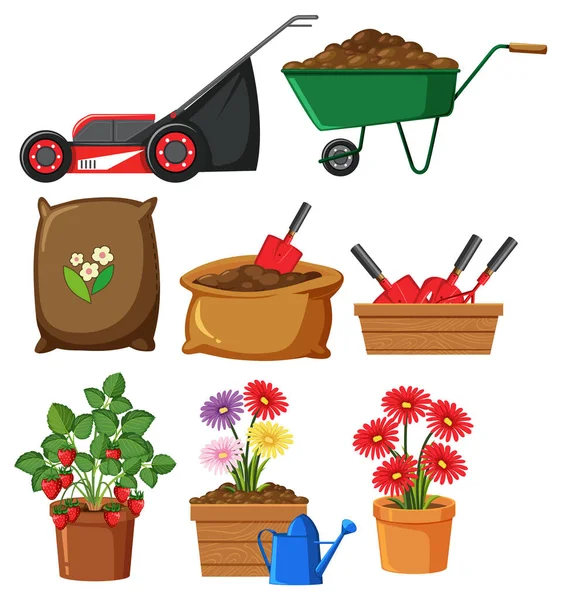 Uppsättning Växter Och Trädgårdsredskap Och Utrustning Illustration — Stock vektor