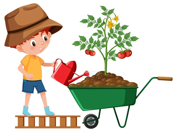 Boy Watering Plant Wheelbarrow Illustration — Stock Vector