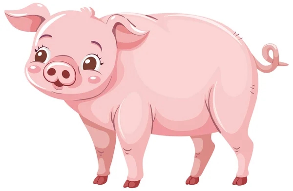 Αξιολάτρευτο Piggy Στην Απεικόνιση Στυλ Κινουμένων Σχεδίων — Διανυσματικό Αρχείο