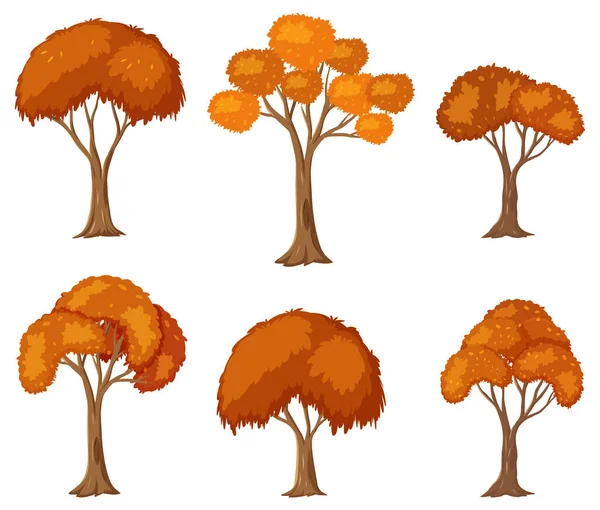 Uppsättning Hösten Träd Tecknad Illustration — Stock vektor