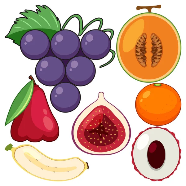 Zbiór Różnych Owoców Ilustracji — Wektor stockowy
