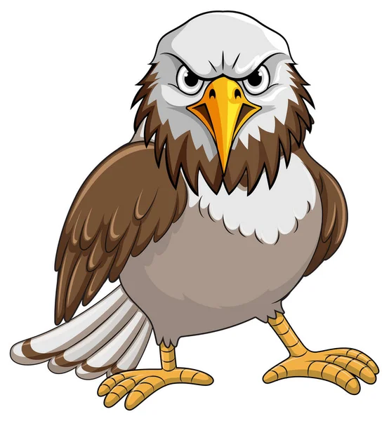 Charakter Karikatury Hawk Izolovaná Ilustrace — Stockový vektor
