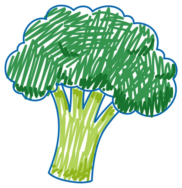 Brócoli Color Lápiz Boceto Ilustración Estilo Simple — Vector de stock