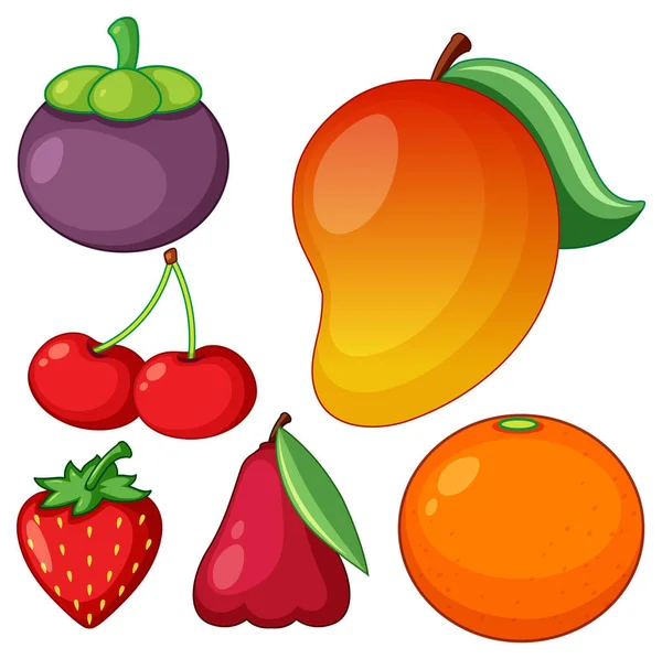 Collection Different Fruits Illustration — Stock Vector