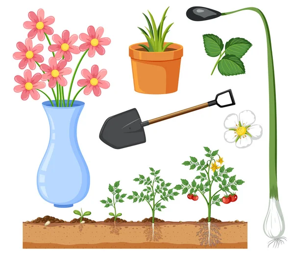 Uppsättning Växter Och Trädgårdsredskap Och Utrustning Illustration — Stock vektor