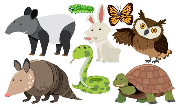 Set Von Tieren Cartoon Einfachen Stil Illustration — Stockvektor