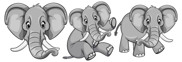 一套可爱的大象卡通画 — 图库矢量图片