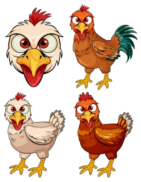 Σύνολο Κινούμενων Σχεδίων Κοτόπουλο Απεικόνιση Χαρακτήρα — Διανυσματικό Αρχείο