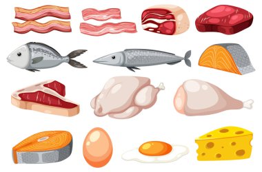 Set of cartoon protein food illustration