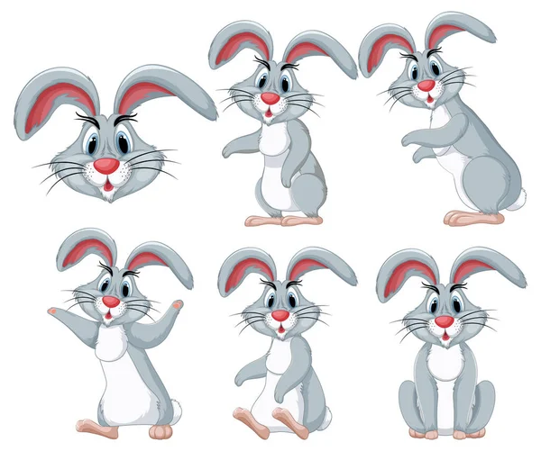 Set Rabbit Cartoon Different Pose Illustration — Stock Vector