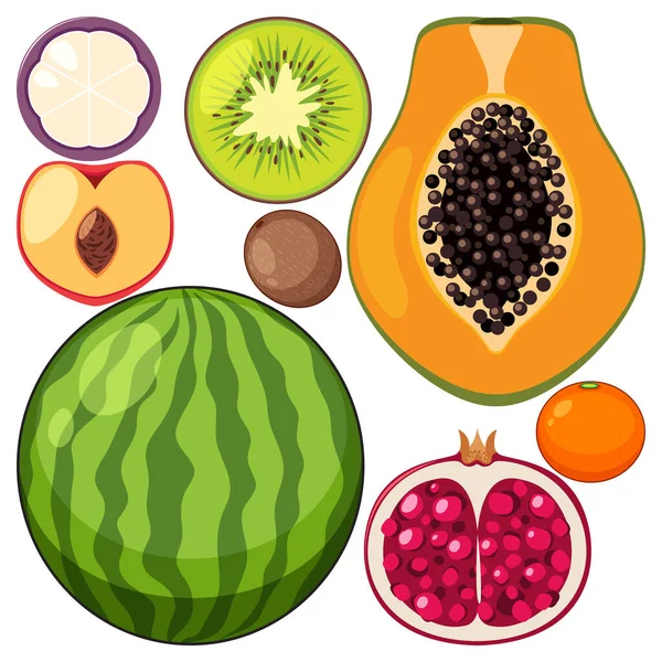 Zbiór Różnych Owoców Ilustracji — Wektor stockowy