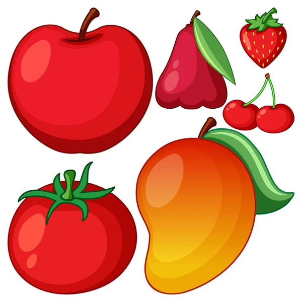 Collection Different Fruits Illustration — Stock Vector